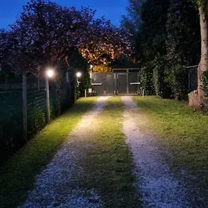 La Casina Ferrara